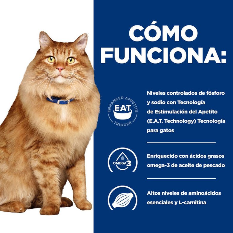 Hill’s Prescription Diet k/d + Mobility Frango saqueta para gatos, , large image number null